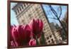 Flatiron Building NYC as Seen Through Flowers-null-Framed Photo