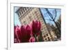 Flatiron Building NYC as Seen Through Flowers-null-Framed Photo