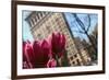 Flatiron Building NYC as Seen Through Flowers-null-Framed Photo