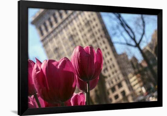 Flatiron Building NYC as Seen Through Flowers-null-Framed Photo