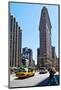Flatiron Building on Fifth Avenue, Manhattan, New York City, New York, USA-null-Mounted Art Print