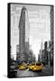 Flatiron Building - Taxi Cabs Yellow - Manhattan - New York City - United States-Philippe Hugonnard-Framed Stretched Canvas