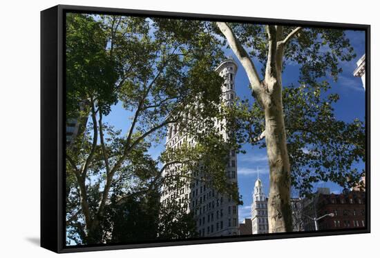 Flatiron Building with Trees-Robert Goldwitz-Framed Stretched Canvas