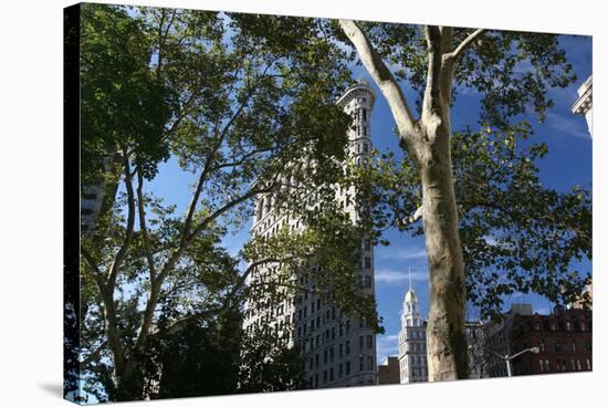 Flatiron Building with Trees-Robert Goldwitz-Stretched Canvas