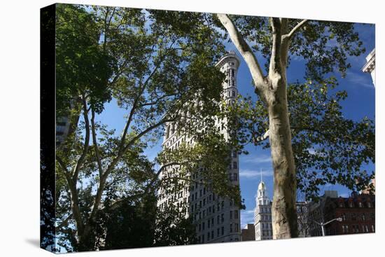 Flatiron Building with Trees-Robert Goldwitz-Stretched Canvas