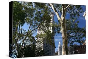 Flatiron Building with Trees-Robert Goldwitz-Stretched Canvas