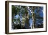 Flatiron Building with Trees-Robert Goldwitz-Framed Photographic Print