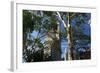 Flatiron Building with Trees-Robert Goldwitz-Framed Photographic Print