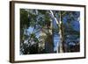 Flatiron Building with Trees-Robert Goldwitz-Framed Photographic Print