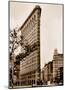 Flatiron Building-Igor Maloratsky-Mounted Art Print