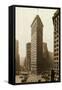 Flatiron Building-null-Framed Stretched Canvas