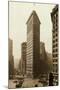 Flatiron Building-null-Mounted Photographic Print