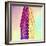 Flatiron Building-Philippe Hugonnard-Framed Premium Giclee Print