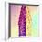 Flatiron Building-Philippe Hugonnard-Framed Premium Giclee Print