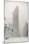 Flatiron Buzzard - New York-Henri Silberman-Mounted Art Print