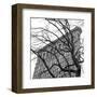 Flatiron with Tree (b/w) (detail)-Erin Clark-Framed Art Print