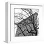 Flatiron with Tree (b/w) (detail)-Erin Clark-Framed Art Print