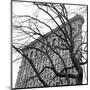 Flatiron with Tree (b/w) (detail)-Erin Clark-Mounted Art Print