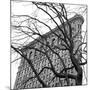 Flatiron with Tree (b/w) (detail)-Erin Clark-Mounted Art Print