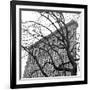 Flatiron with Tree (b/w) (detail)-Erin Clark-Framed Art Print