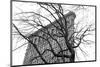 Flatiron with Tree (b/w)-Erin Clark-Mounted Art Print
