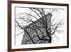 Flatiron with Tree (b/w)-Erin Clark-Framed Art Print