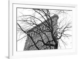 Flatiron with Tree (b/w)-Erin Clark-Framed Art Print