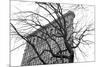 Flatiron with Tree (b/w)-Erin Clark-Mounted Art Print