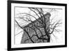 Flatiron with Tree (b/w)-Erin Clark-Framed Art Print