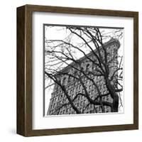 Flatiron with Tree (detail)-Erin Clark-Framed Giclee Print