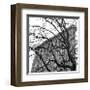 Flatiron with Tree (detail)-Erin Clark-Framed Giclee Print