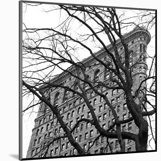 Flatiron with Tree (detail)-Erin Clark-Mounted Giclee Print