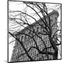 Flatiron with Tree (detail)-Erin Clark-Mounted Giclee Print