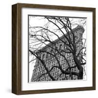 Flatiron with Tree (detail)-Erin Clark-Framed Giclee Print