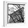 Flatiron with Tree (detail)-Erin Clark-Framed Giclee Print
