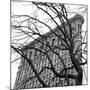 Flatiron with Tree (detail)-Erin Clark-Mounted Giclee Print