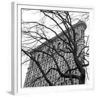 Flatiron with Tree (detail)-Erin Clark-Framed Giclee Print