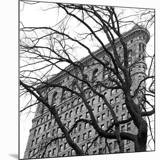 Flatiron with Tree (detail)-Erin Clark-Mounted Giclee Print