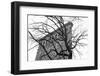 Flatiron with Tree-Erin Clark-Framed Giclee Print