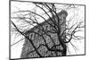 Flatiron with Tree-Erin Clark-Mounted Giclee Print