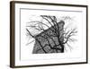 Flatiron with Tree-Erin Clark-Framed Giclee Print