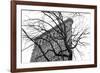 Flatiron with Tree-Erin Clark-Framed Giclee Print