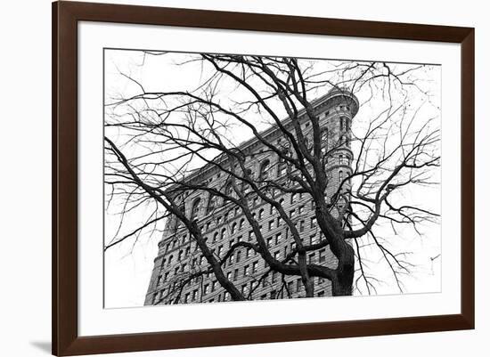 Flatiron with Tree-Erin Clark-Framed Giclee Print