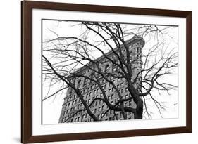 Flatiron with Tree-Erin Clark-Framed Giclee Print