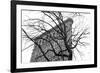 Flatiron with Tree-Erin Clark-Framed Giclee Print