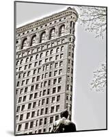 Flatiron-null-Mounted Art Print