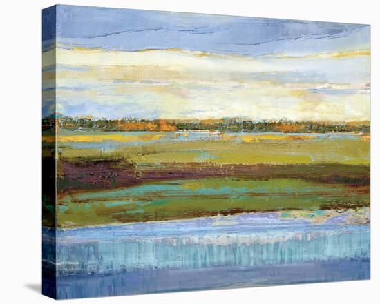 Flatland Reflection-Mark Chandon-Stretched Canvas