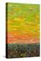Flatland Sunset looking East-James W. Johnson-Stretched Canvas