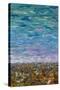 Flatlands Cloudy Day-James W. Johnson-Stretched Canvas