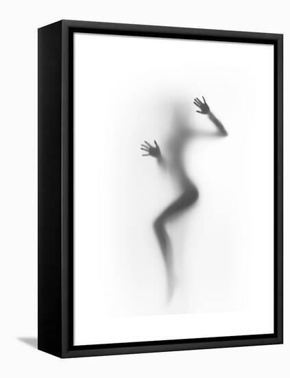 Flattened-Shadow-Framed Stretched Canvas